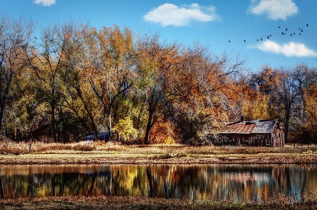 Circle of Hope Girls Ranch