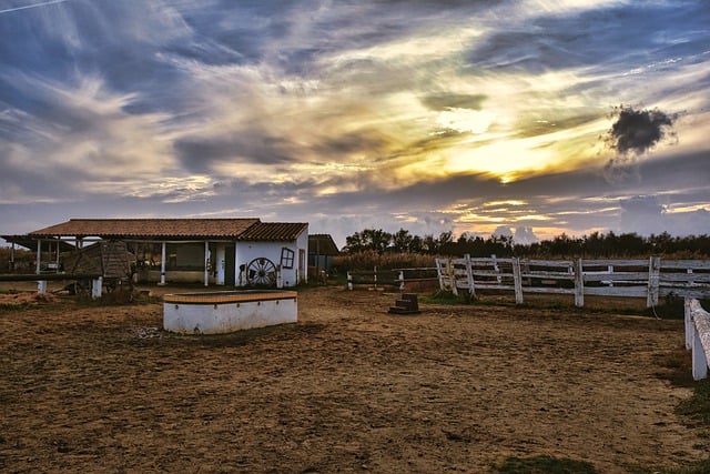 Circle of Hope Girls Ranch