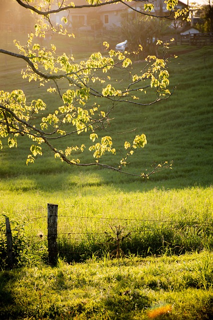 Unveiling Circle of Hope Girls Ranch: Historical Abuse Patterns and Healing Solutions