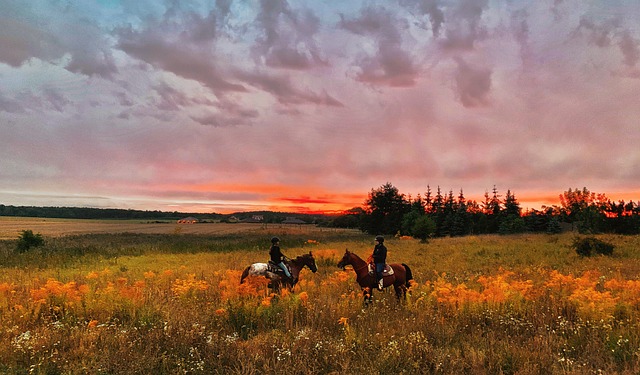 Circle of Hope Girls Ranch Attorney