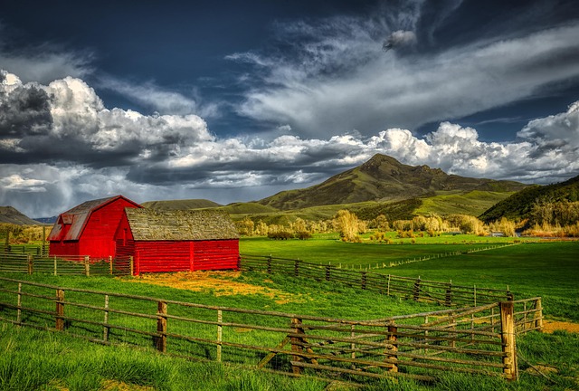 Circle of Hope Girls Ranch Lawyer