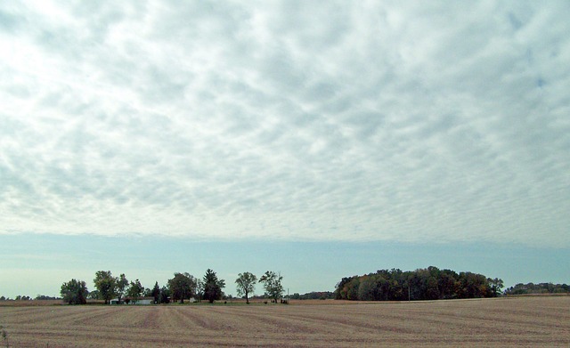 Seeking Justice: Resources for Heartland Behavioral Health Victims