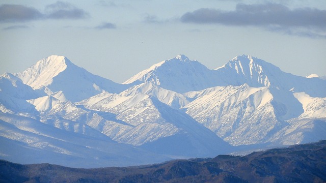 Piney Ridge Center