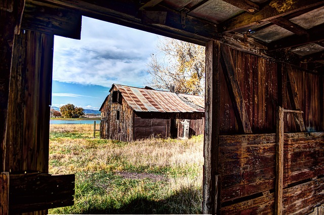 Valley Springs Youth Ranch and W E Sears Attorney