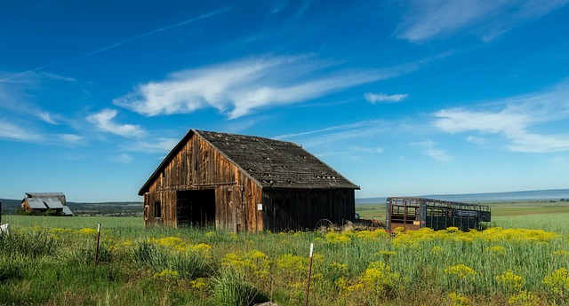 Circle of Hope Girls Ranch