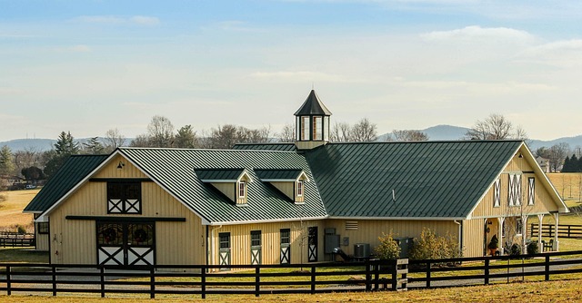 Circle of Hope Girls Ranch