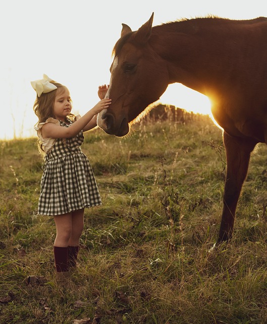 Circle of Hope Girls Ranch