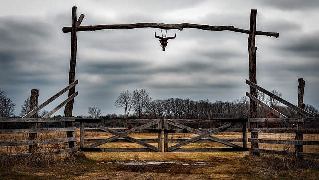 Circle of Hope Girls Ranch