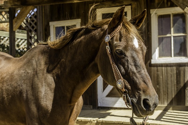 Circle of Hope Girls Ranch Abuse