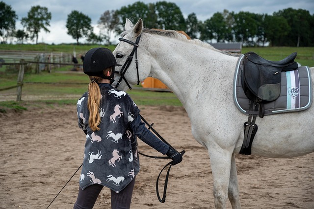 Resources for Families of Circle of Hope Girls Ranch Survivors