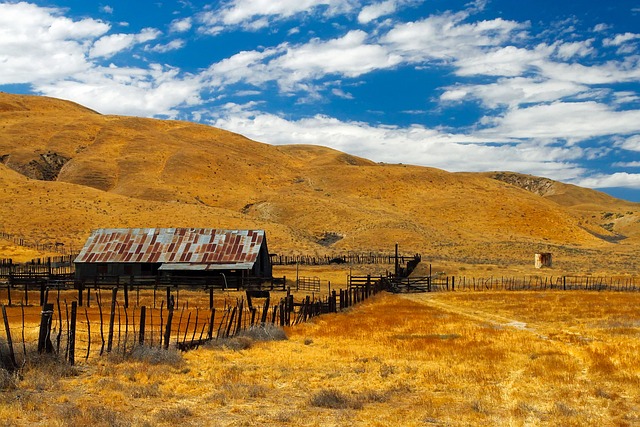 Accountability at Circle of Hope Girls Ranch: Legal Strategies for Justice