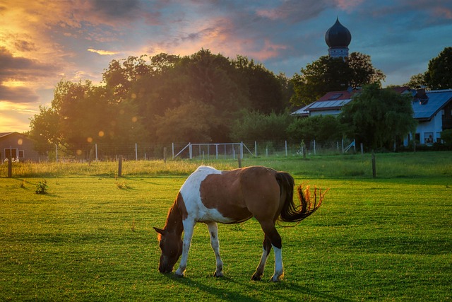 Legal Guidance for Circle of Hope Girls Ranch Lawsuits: Roles & Navigating the Process