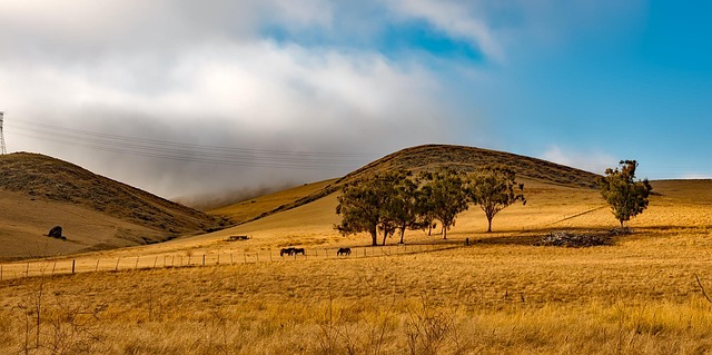 Circle of Hope Girls Ranch Lawsuit: A Comprehensive Timeline of Background and History