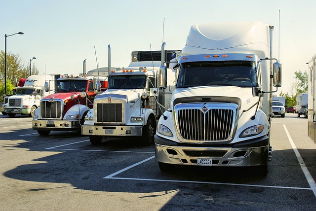 Peoria Truck Accident Lawyer: Navigating Claims with Expert Support