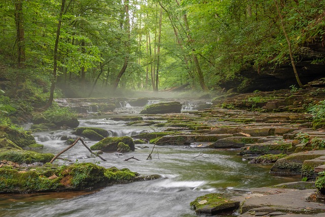 Survivors Sue: Rocky Creek Youth Camp Lawsuits Uncover Dark Past