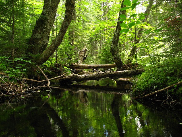 Rocky Creek Youth Camp Lawsuit