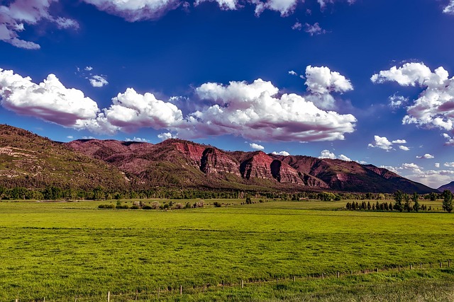 Valley Springs Youth Ranch and W E Sears Lawyer