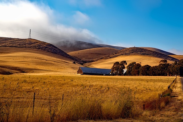 Valley Springs Youth Ranch and W E Sears Lawyer