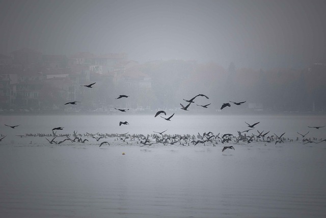 Specialized Attorneys: Navigating CALO Cases with Expertise from Lake of the Ozarks Institute