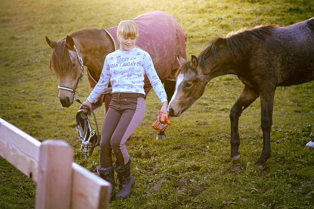 circle-of-hope-girls-ranch-abuse-640x480-5122491.jpeg