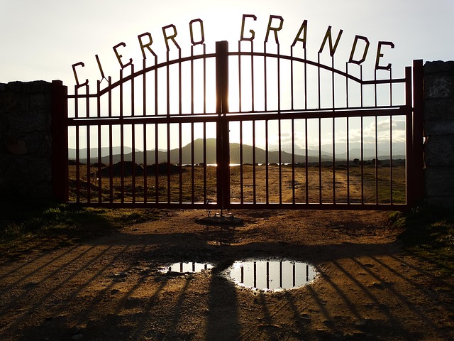 Circle of Hope: Healing Stories from Abuse Victims at Girls Ranch