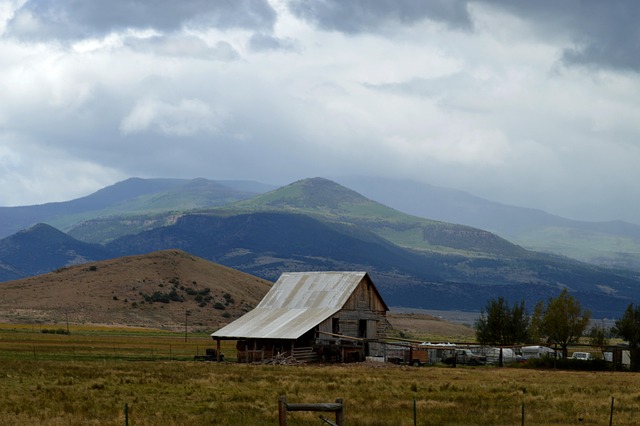 Circle of Hope Girls Ranch Lawyers: Expert Support for Abuse Cases