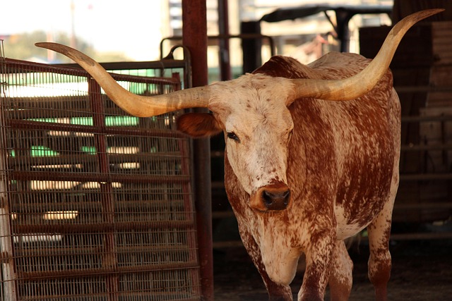 masters-ranch-abuse-640x480-63926067.jpeg