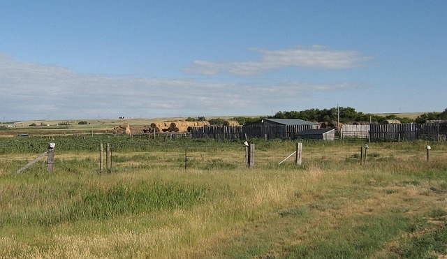 Justice for Masters Ranch Abuse Victims: A Comprehensive Guide