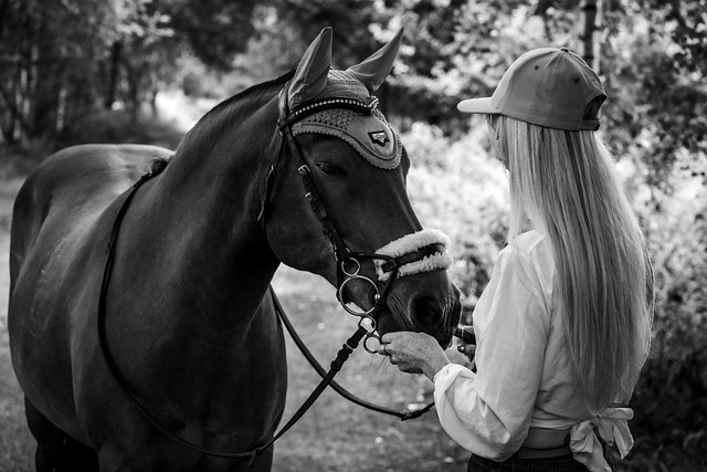 Mastering Justice: Trusted Attorneys Fight for Masters Ranch Abuse Victims