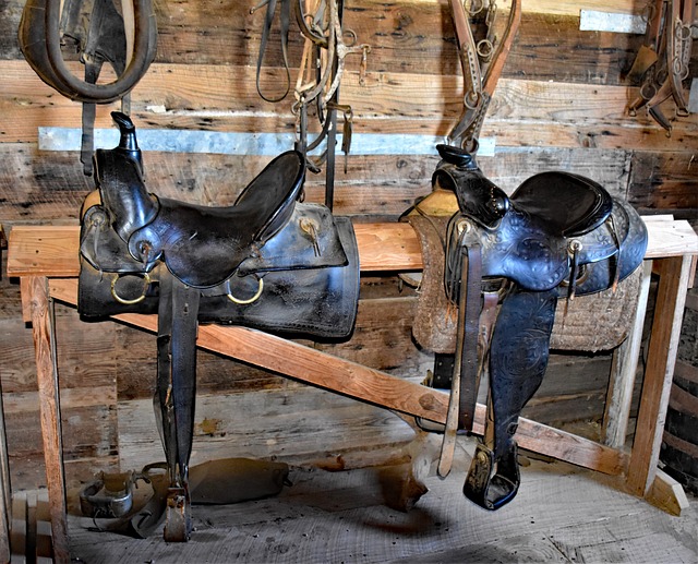 Advocacy for Masters Ranch Victims: A Legal Lawyer’s Guide