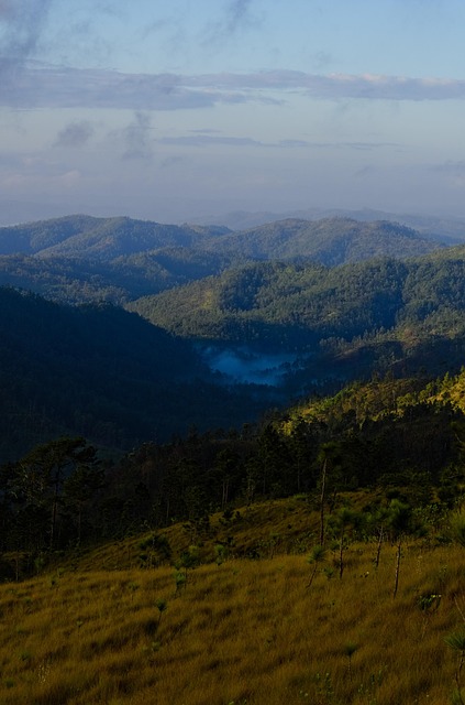 Piney Ridge Center