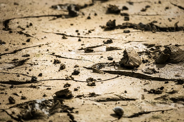 Holding Piney Ridge Center Accountable: Uncovering and Reforming Abuse