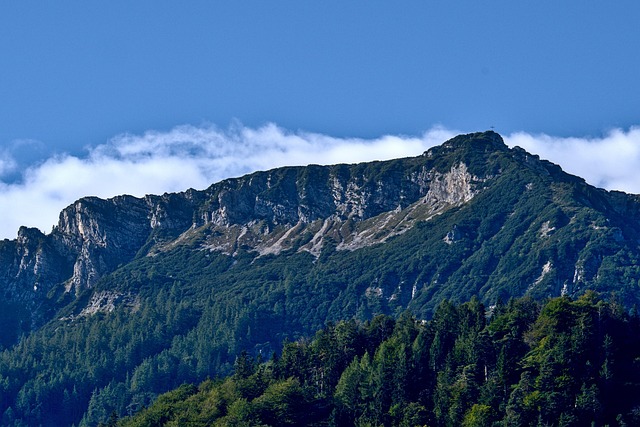Piney Ridge Center