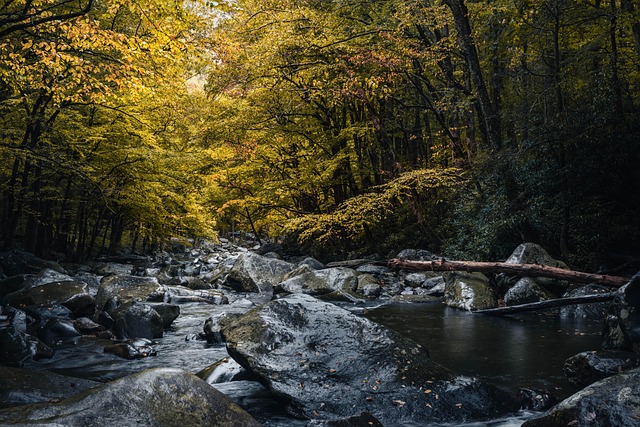 Rocky Creek Youth Camp Lawsuit