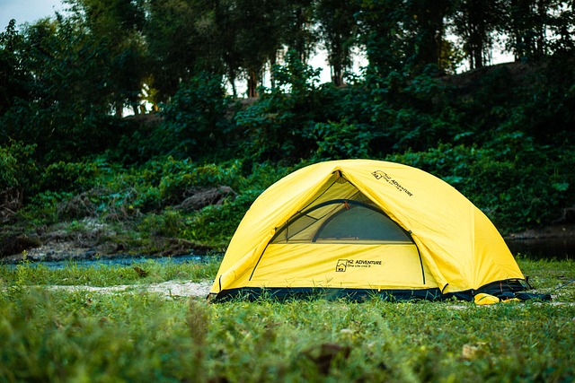 Trusted Lawyers Guide Rocky Creek Abuse Claims: Navigating Youth Camp Lawsuits
