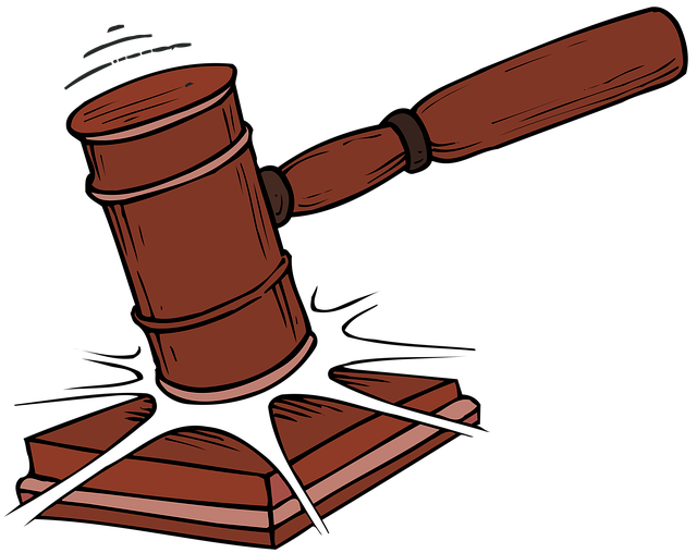 Shelterwood Academy Lawyer