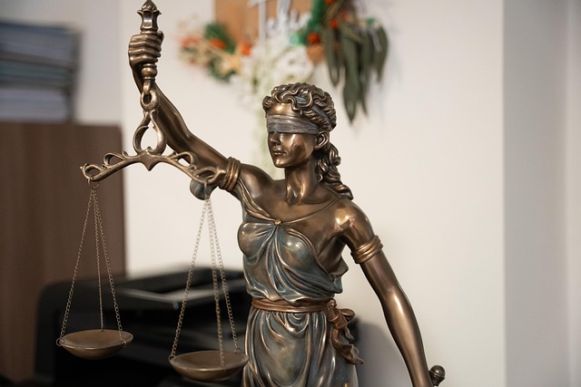 Shelterwood Academy Lawyers: Supporting Survivors Through Legal Navigations