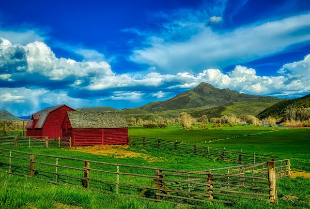 Valley Springs Youth Ranch and W E Sears Lawsuit