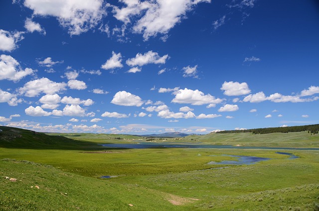 Advocacy for Families Affected by Valley Springs Youth Ranch Abuse