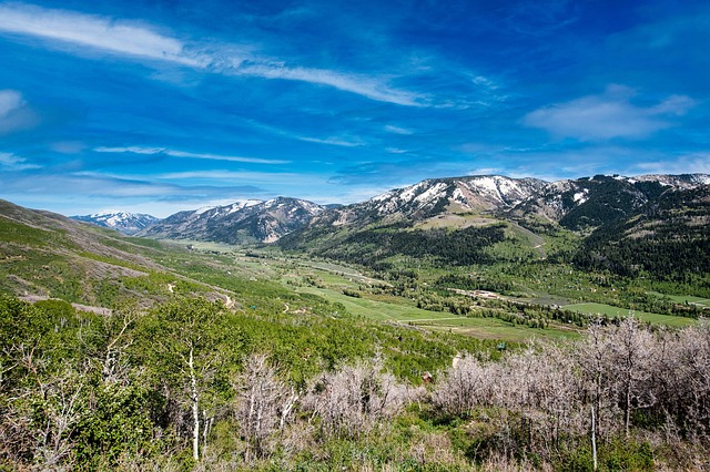 Valley Springs Youth Ranch and W E Sears Lawsuit