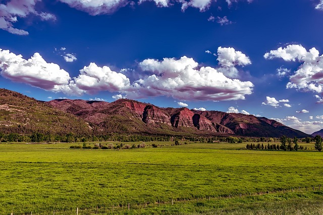 Valley Springs Youth Ranch: Advancing Justice with W. E. Sears’ Legacy