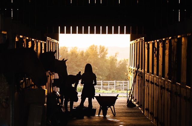 Circle of Hope Girls Ranch Attorney