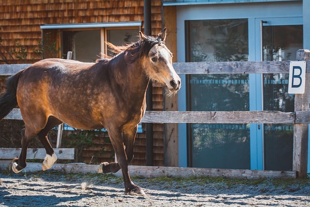 Circle of Hope Girls Ranch Attorney