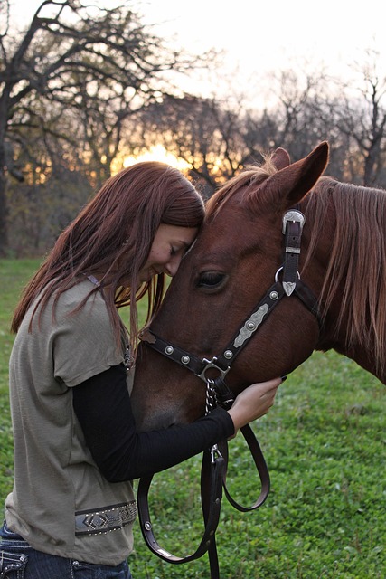 Circle of Hope Girls Ranch Attorney