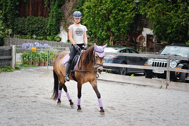 Navigating Circle of Hope Girls Ranch Lawsuits: Finding Trusted Legal Representation