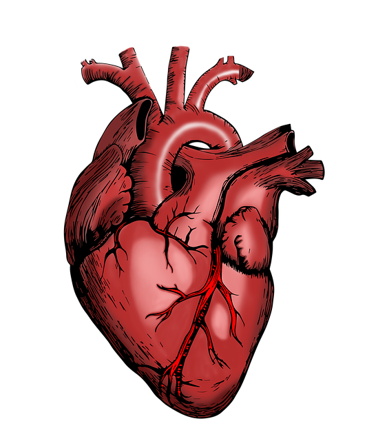 Heartland Behavioral Health Abuse Victims