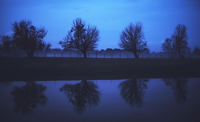 Mastering Justice: Advocacy for Masters Ranch Abuse Victims with Legal Support
