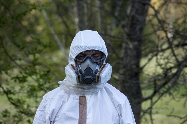Peoria Asbestos Cases: Expert Guidance for Compensation