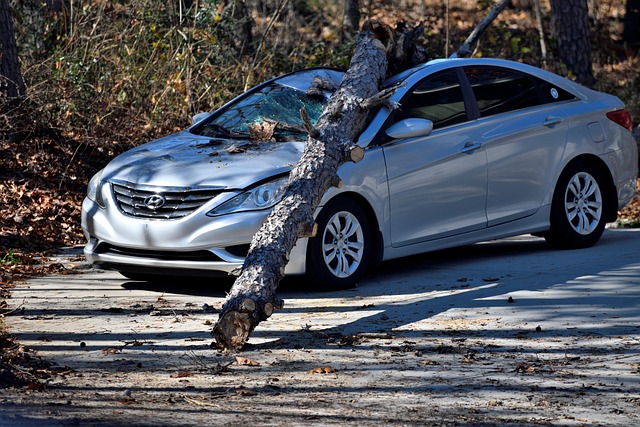 Peoria Car Accident Lawsuit