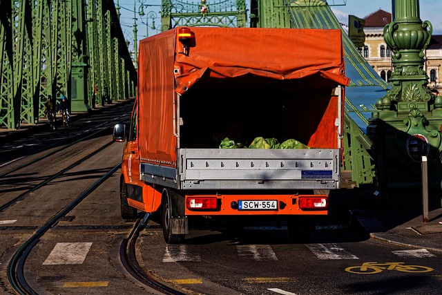 Peoria Truck Accident Claims: Your Rights & Maximizing Compensation